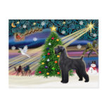 Christmas Magic Schnauzer (black Giant) postcards