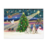 Christmas Magic - Wire Fox Terriers (two) postcards