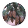 christmas magnet