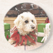 Christmas - MaltiPoo - Baxter Drink Coasters