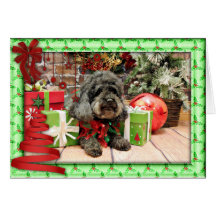 Christmas - MaltiPoo - Charlie Cards