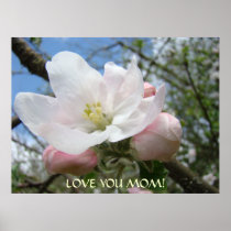 CHRISTMAS MOM Apple Blossom Art Prints Framed