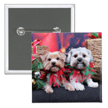 Christmas - Morkie - Jackie and Tabby Buttons