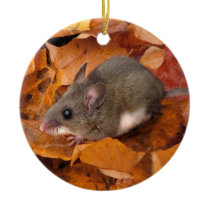 Christmas Mouse Ornament