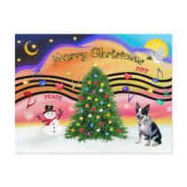 Christmas Music 2 - Australian Cattle Dog 1