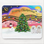 Christmas Music 2 - Bichon Frise (two)