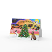 Christmas Music 2 - Bloodhound