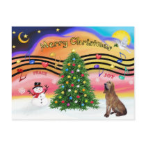 Christmas Music 2 - Bloodhound