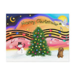 Christmas Music 2 - Dachshund (long haired sable) postcards