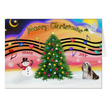 Christmas Music 2 - Lhasa Apso (Brown-white) Cards