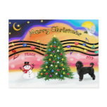 Christmas Music 2 - Portuguese Water Dog 2 postcards