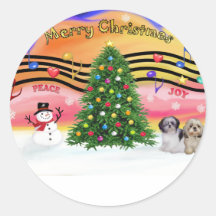 Christmas Music 2 - Shih Tzu (Pair 2) Stickers