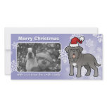 Christmas Neapolitan Mastiff photo cards