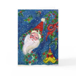 CHRISTMAS NIGHT / SANTA cards