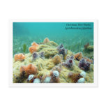 Christmas on the Sea Floor postcards
