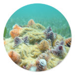 Christmas on the Sea Floor stickers