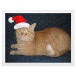 Christmas Orange Tabby Cat flyers