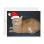 Christmas Orange Tabby Cat invitations