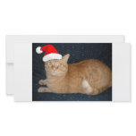 Christmas Orange Tabby Cat photo cards