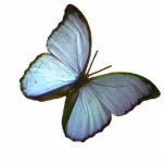 Christmas Ornament Freiburg Germany Blue Butterfly photo sculptures