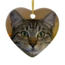 Christmas Ornament: Kitty's 1st Xmas