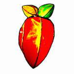 Christmas Ornament Persimmon Kite photo sculptures