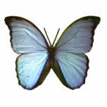 Christmas Ornaments Freiburg Germany Blue Buterfly photo sculptures