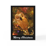 christmas owl cards