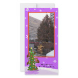 Christmas Owls photo cards