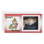 Christmas Panda photo cards