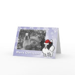 Christmas Papillon
