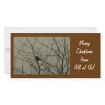 Christmas Photo Card:  Little Bird