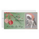 Christmas Photo Cards for your pets! photo cards