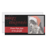Christmas Photo Cards for your pets! photo cards
