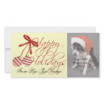 Christmas Photo Cards for your pets! photo cards