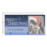 Christmas Photo Cards for your pets! photo cards