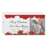 Christmas Photo Cards from your pets! photo cards