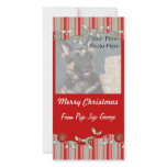 Christmas Photo Cards from your pets! photo cards