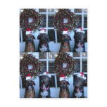 christmas pic for students postcards