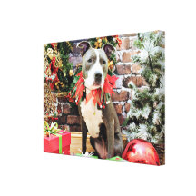 Christmas - Pitbull - Charm Stretched Canvas Prints