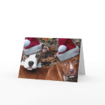 Christmas Pitbull Puppies Greeting Cards