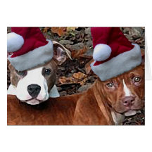 Christmas Pitbull Puppies Greeting Cards
