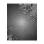 Christmas Poinsettia Black And Grey II flyers