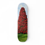 Christmas Poinsettia Tree In San Diego Skate Boards