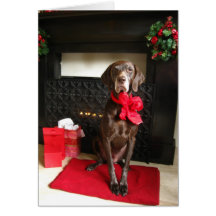 christmas pointer greeting card