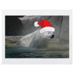 Christmas Polar Bears flyers