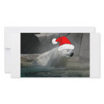 Christmas Polar Bears photo cards