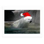 Christmas Polar Bears Postcards
