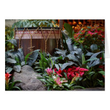 Christmas Polynesian Drum Greeting Cards