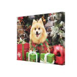 Christmas - Pomeranian - Sammy Stretched Canvas Print